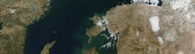search block image